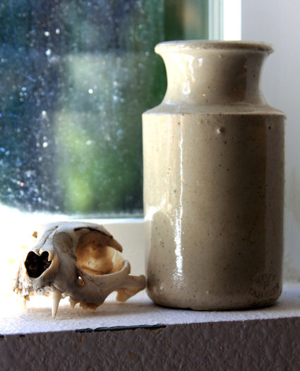 Skull by Katy Brown
